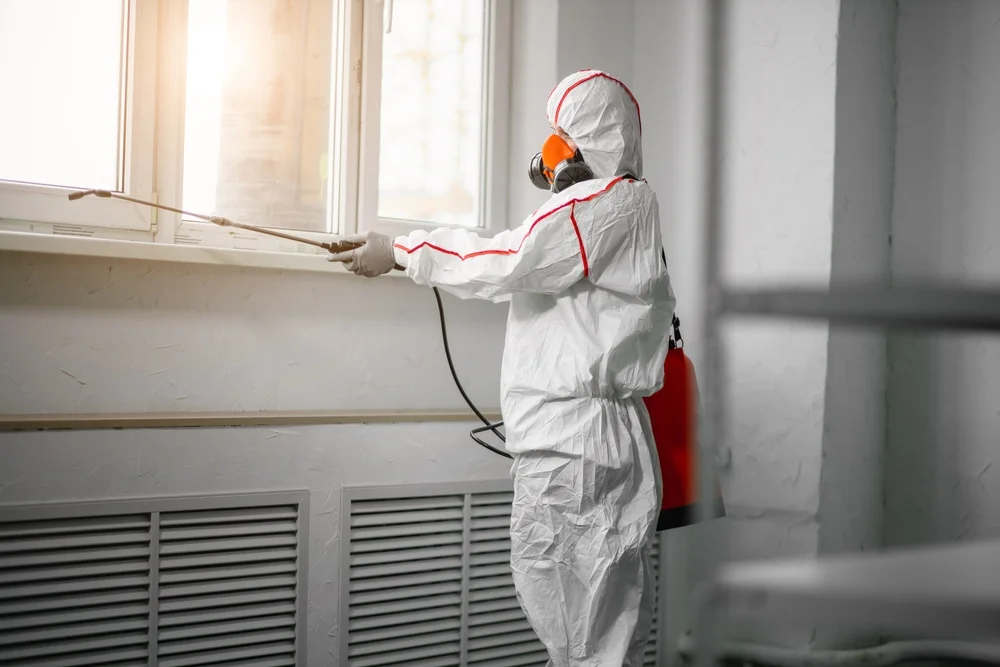 Professional mold remediation services in Piermont, NH